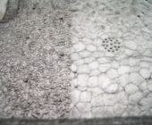Polipropilene fotoinciso